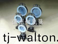 衬氟不锈钢法兰蝶阀